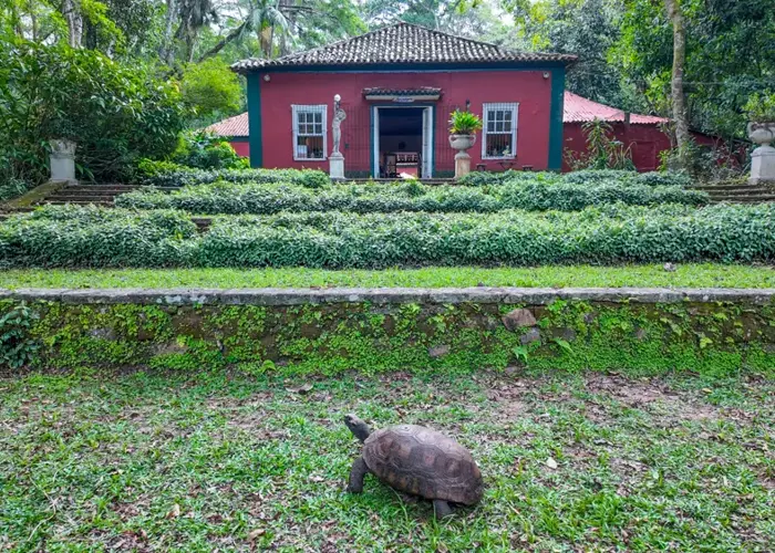 South Rio: Wildlife and Favela